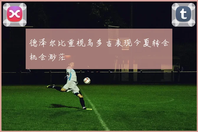 德泽尔比重视乌多吉表现今夏转会机会渺茫